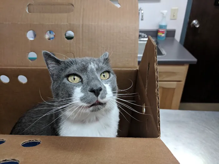 Boulder Veterinary Hospital Picture 10