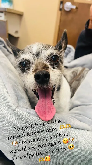 Banfield Pet Hospital Picture 8