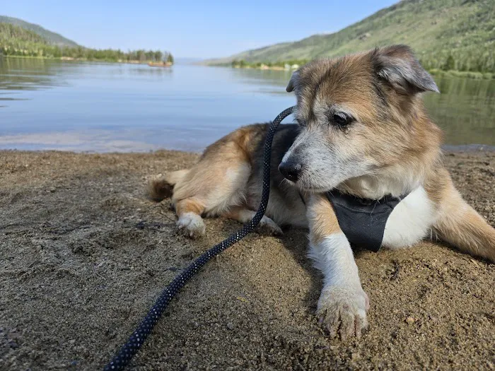 Veterinary Specialists of the Rockies Picture 7