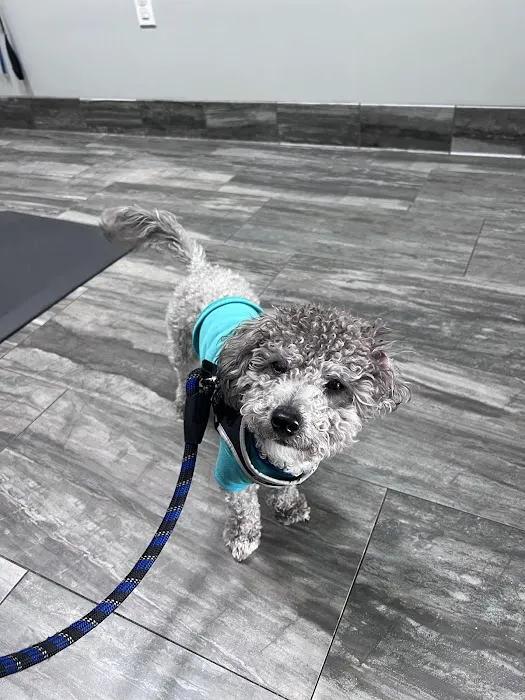 Brooklyn Veterinary Clinic Picture 6