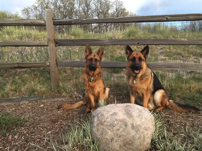 Plum Creek Veterinary Services Picture 5