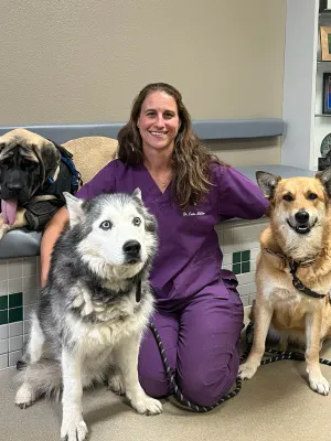 Plum Creek Veterinary Services Picture 6