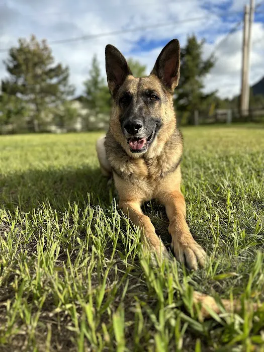 Plum Creek Veterinary Services Picture 10