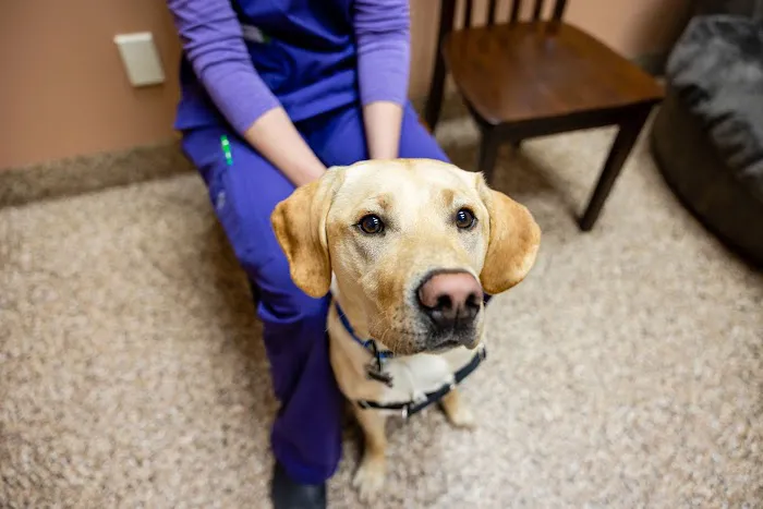 Franktown Animal Clinic Picture 5