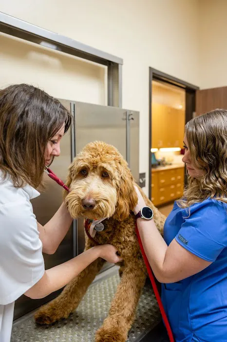 Franktown Animal Clinic Picture 4