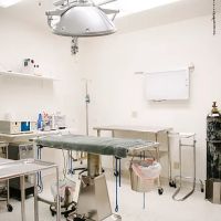 Solano-Napa Pet ER Clinic ico