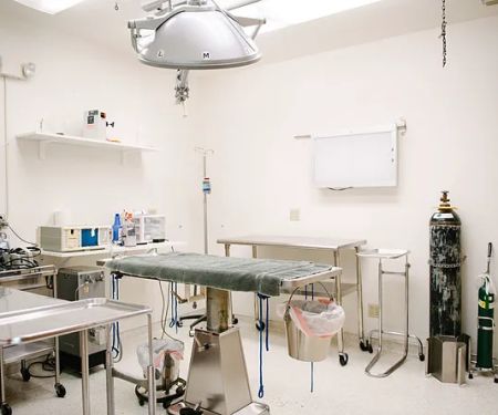 Solano-Napa Pet ER Clinic