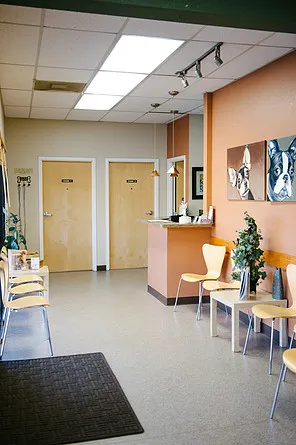 Solano-Napa Pet ER Clinic Picture 6