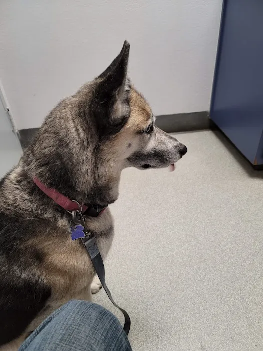 Barney & Russum Animal Clinic Picture 3