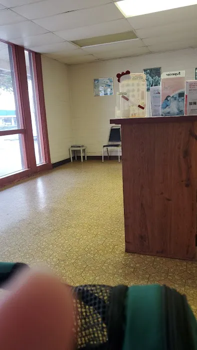 Albern Pet Clinic Picture 2