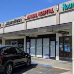 All Bay Animal Hospital