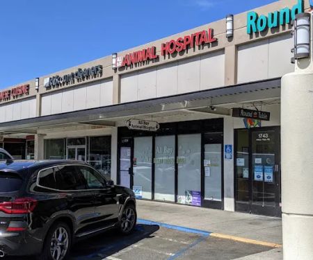 All Bay Animal Hospital