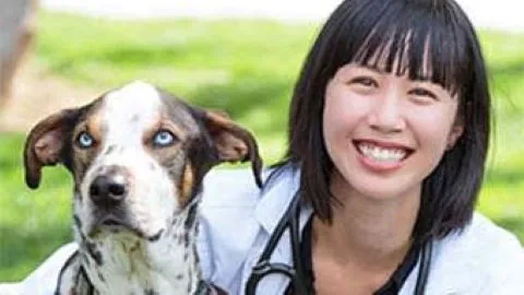 All Bay Animal Hospital Picture 3