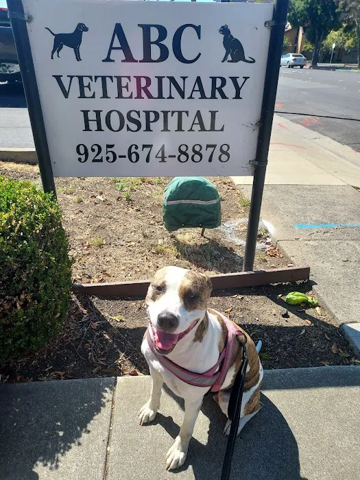 ABC Veterinary Hospital Picture 1