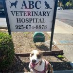 ABC Veterinary Hospital
