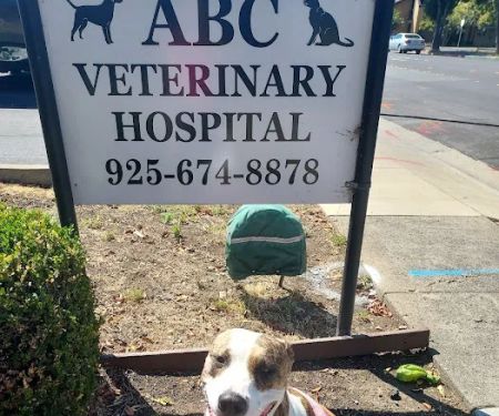 ABC Veterinary Hospital