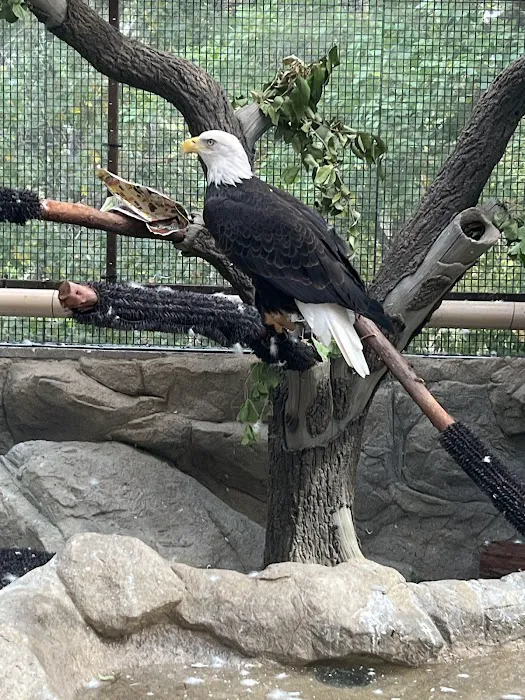 Lindsay Wildlife Rehabilitation Hospital Picture 1