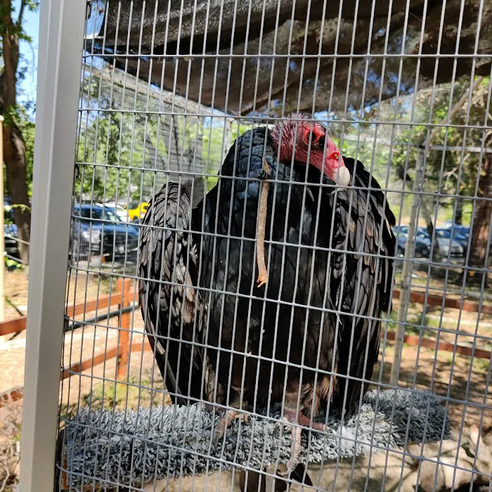 Lindsay Wildlife Rehabilitation Hospital Picture 4