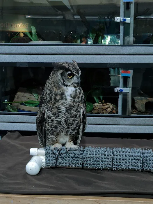 Lindsay Wildlife Rehabilitation Hospital Picture 5