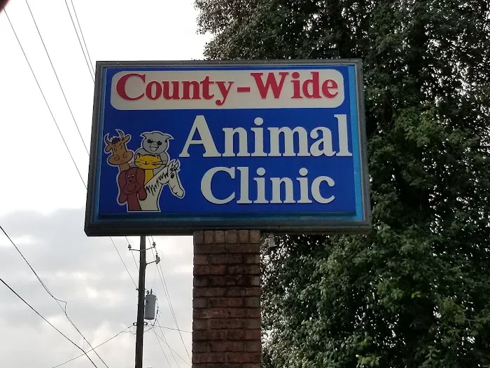 County Wide Animal Clinic Picture 6