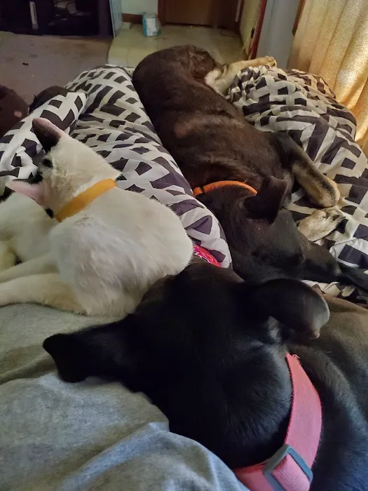 Nappanee Veterinary Hospital Picture 4