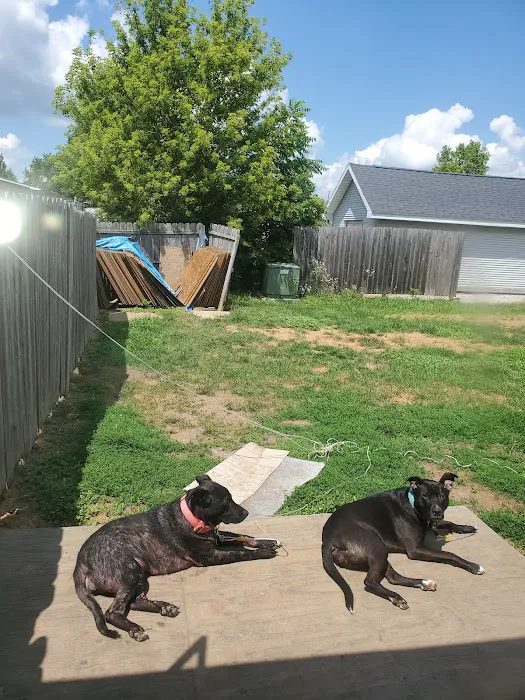 Nappanee Veterinary Hospital Picture 3