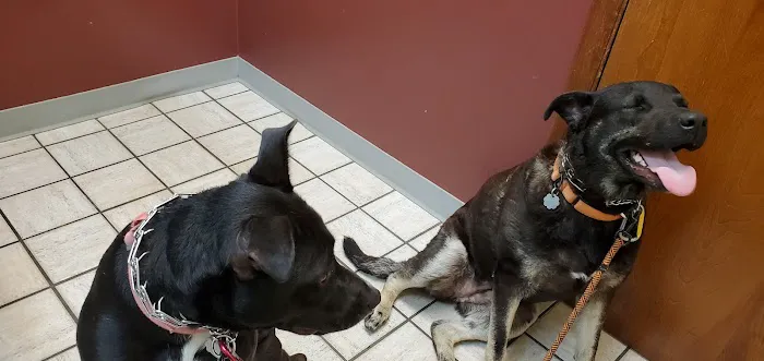 Nappanee Veterinary Hospital Picture 6