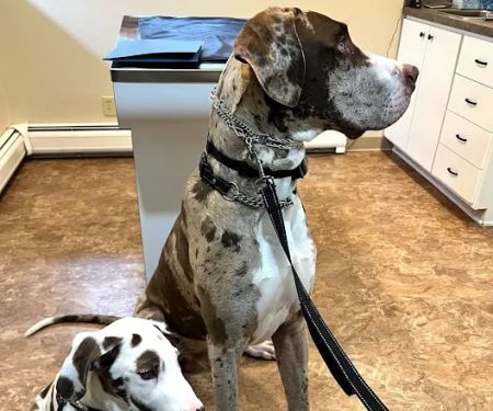 Bourbon Veterinary Hospital