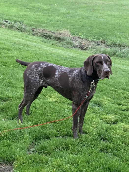 Bourbon Veterinary Hospital Picture 5