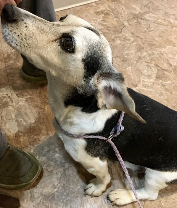 Bourbon Veterinary Hospital Picture 6