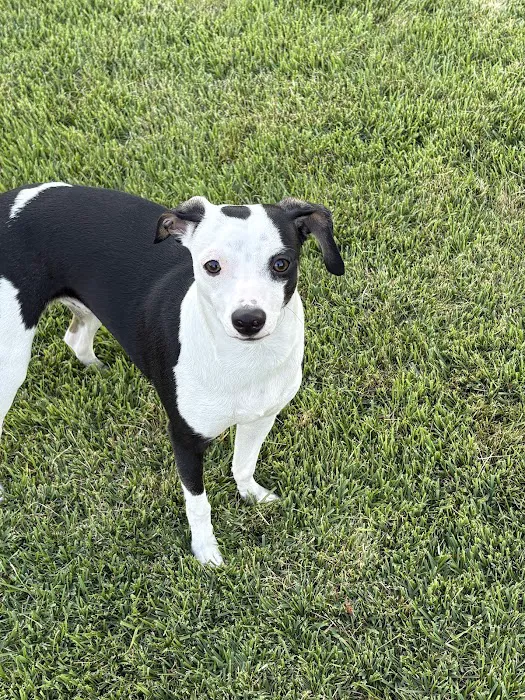 Bourbon Veterinary Hospital Picture 9