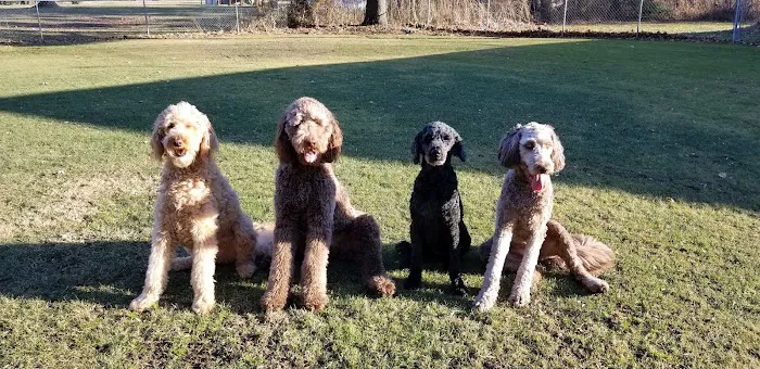 Bourbon Veterinary Hospital Picture 7