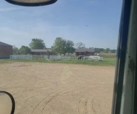Fedore Large Animal Veterinary Services