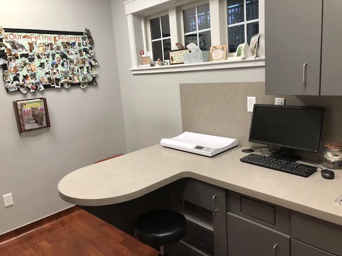 VCA Texas Corners Animal Hospital Picture 3