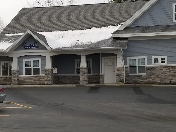 VCA Texas Corners Animal Hospital Picture 4