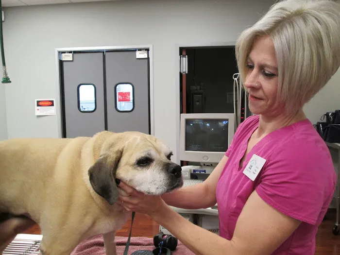 VCA Texas Corners Animal Hospital Picture 5