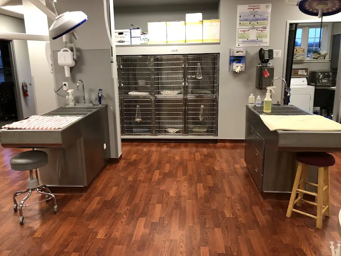 VCA Texas Corners Animal Hospital Picture 6