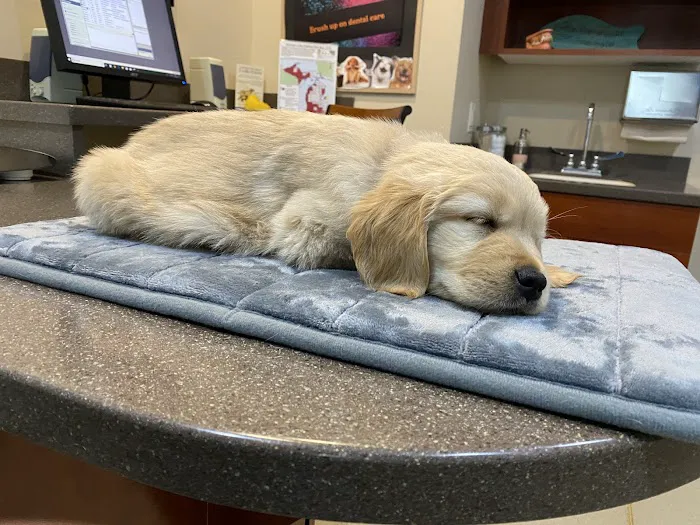Center for Animal Health Picture 1