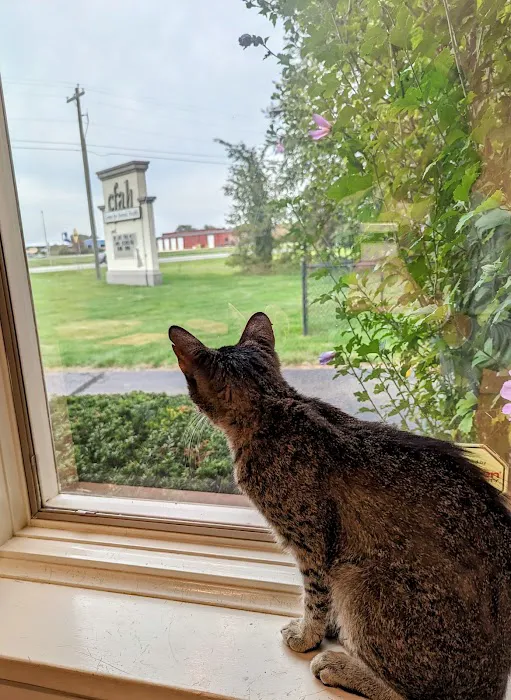 Center for Animal Health Picture 5