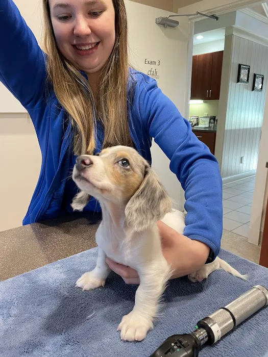 Center for Animal Health Picture 9