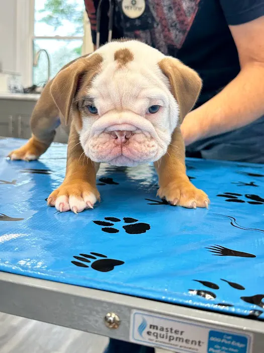 Michiana Veterinary Hospital Picture 1