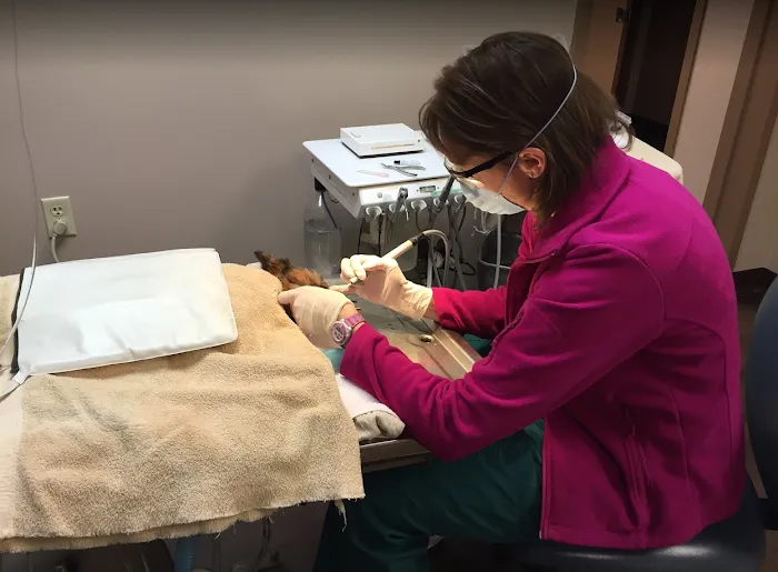 Kryder & Harr Veterinary Clinic Picture 3
