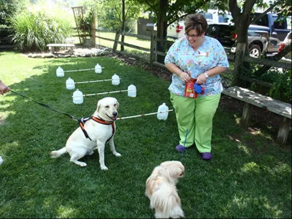 Kryder & Harr Veterinary Clinic Picture 8