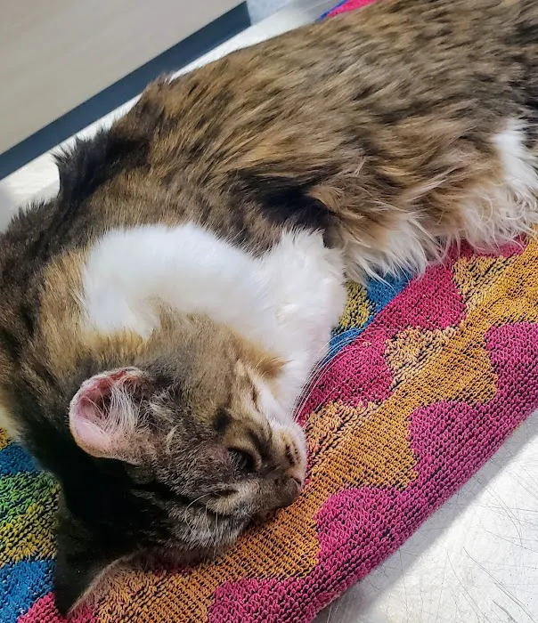 Kryder & Harr Veterinary Clinic Picture 7