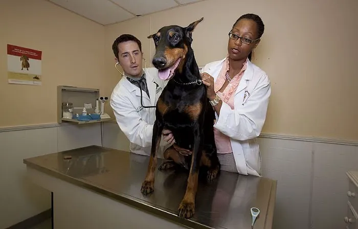 Patterson Veterinary Hospital - Mason Picture 4