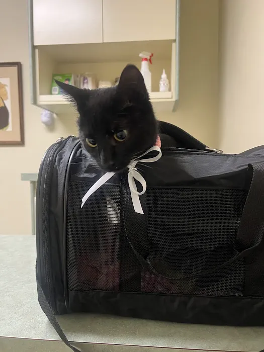 Holt Veterinary Clinic Picture 1