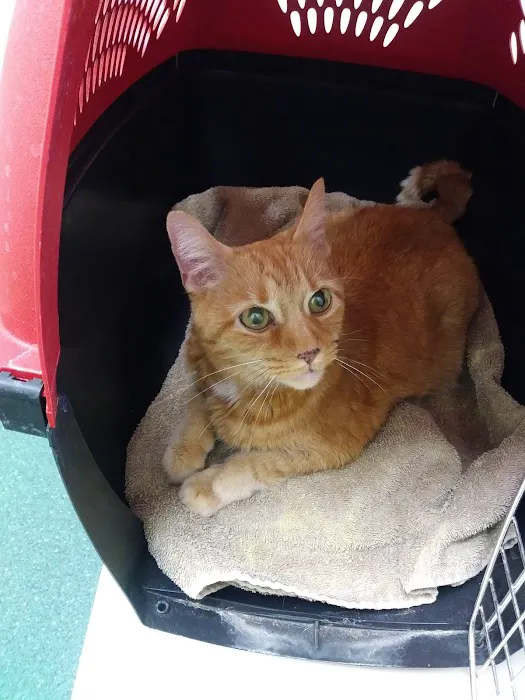Holt Veterinary Clinic Picture 7