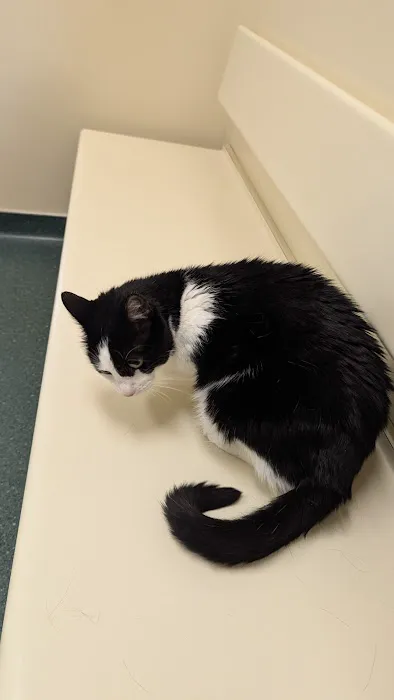 Holt Veterinary Clinic Picture 6