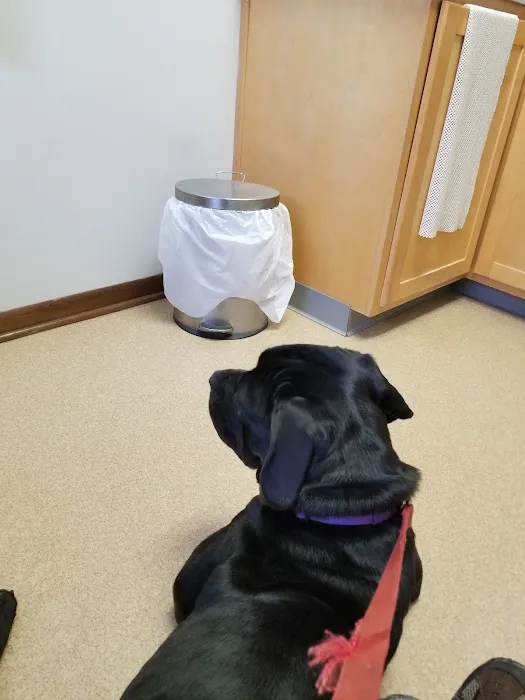 Caring Animal Hospital Picture 7