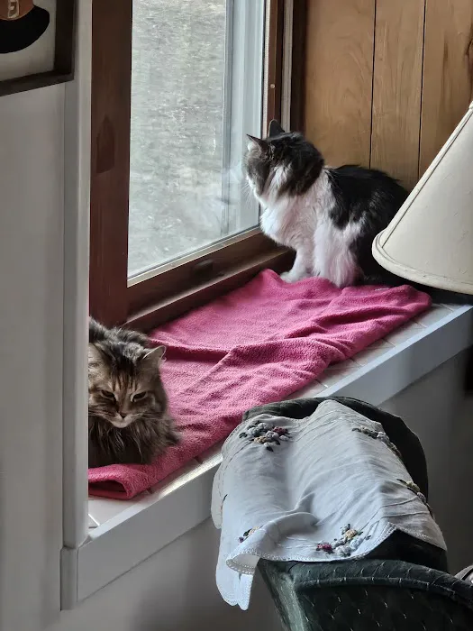 Grand Ledge Veterinary Hospital Picture 1